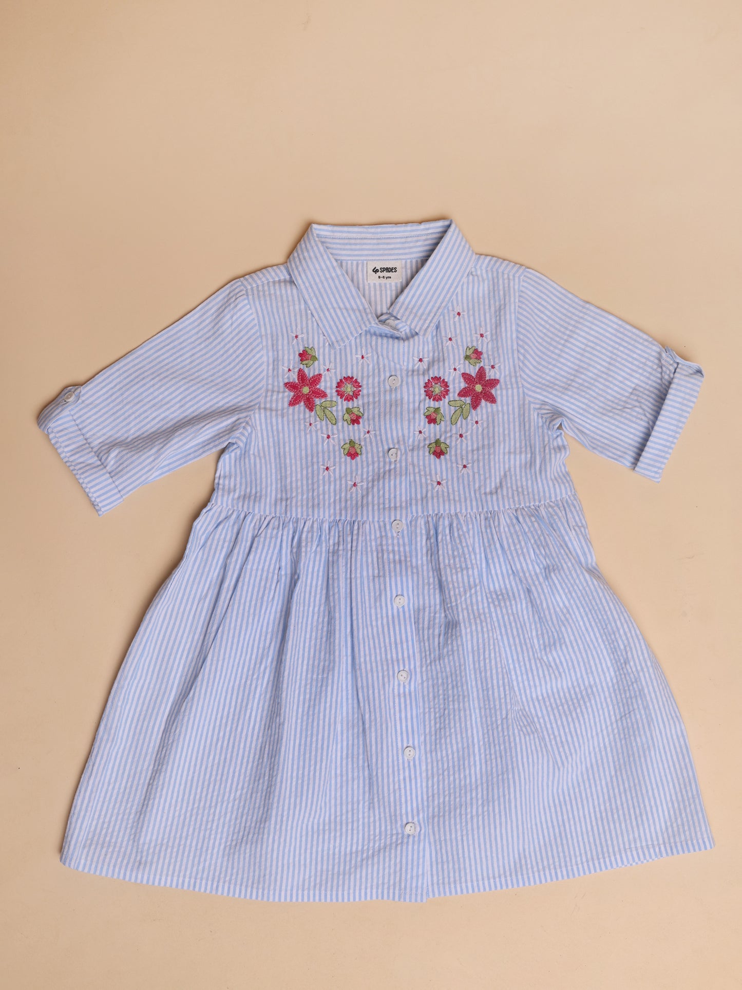 Floral Embroidered Blue and White Stripe Dress